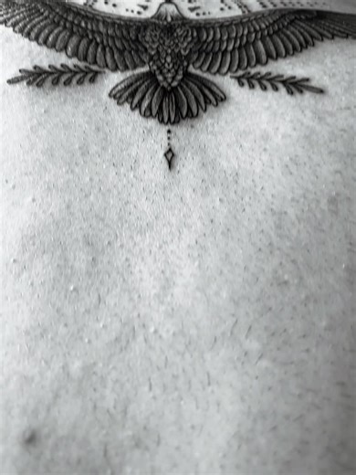 Tattoo Designs: Stunning Eagle Tattoos