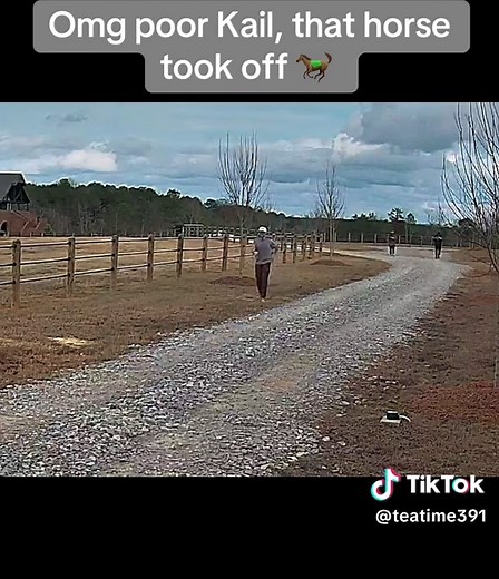 Safe Horse Riding Tips: Ensuring a Positive Experience