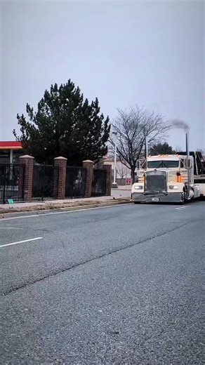 Are ready to get serious and make 2026 your best year ever? Try our 30k in 30 days **100% Money Back Guarantee** https://onpointdispatch.net Here are three trucking-authority traps most new carriers fall into—yet almost nobody talks about: 1. “Active Authority” ≠ Ready to Haul Many new carriers think that once the FMCSA shows “ACTIVE”, they can immediately start running loads. Trap: Your authority might be active, but your insurance filings may not be processed, your BOC-3 may not be synced, and