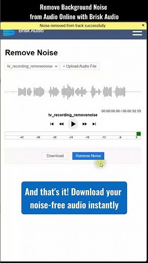 Remove Background Noise from Audio or Voice Recordings | Brisk Audio #audio #audioedit #editaudio