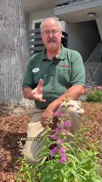 They're paying homeowners to ditch grass #rebates #gardening