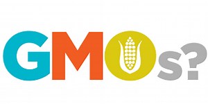 What is GMOs?