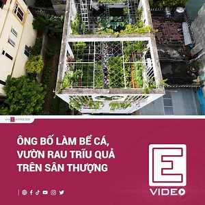 1.4M views · 10K reactions | Ước mơ có một khu vườn từ nhà cũ, sau khi xây nhà mới anh Lỗ Bá Ngọc ở Hoàng Mai dựng vườn rau 60m2 trên mái nhà để phục vụ gia đình 7 người.  Cập nhật tin tức đời sống, xã hội: https://goo.gl/aY8N6N #VnExpress | VnExpress.net | Facebook