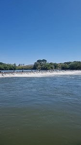 1.2K views | Hunt Catch Cook on Reels | Facebook