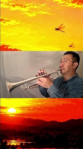 【Trumpet 】童謡：赤とんぼ