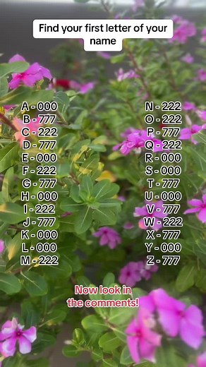Discover the Meaning Behind Numbers in Your Name