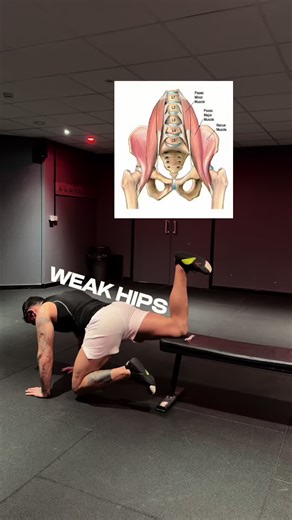 Quadruped Bench Hip Flexor Raises Everyone stretches their hip flexors. But very few people actually train them. If your hips feel “tight” there’s a good chance they’re weak not short and tight. Trust me these are a beast, I did 4 sets of them today and my god I felt it. This drill strengthens hip flexion properly Knee drives toward chest Pelvis stays controlled Slow eccentric back down One of the best things about This beauty is it won’t wreck your lower back, so if you’ve got lower back pain t