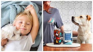 7 Incredible Companies That Are Dedicated To Helping Animals In Need