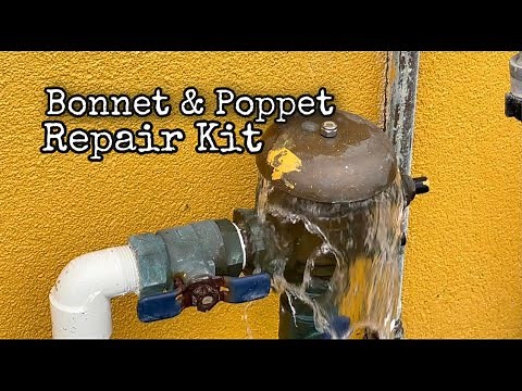 Replacing a Febco 765-1 bonnett and poppet, just showing how easy it is
