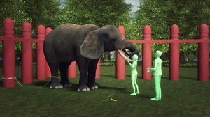 Thailand elephant attack: tusks cut after woman stomped to death