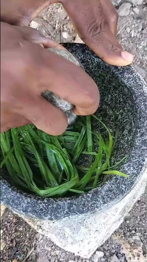 How to Use Lemongrass Juice the Best Way for Hydration, fever, digestion and Glowing Skin