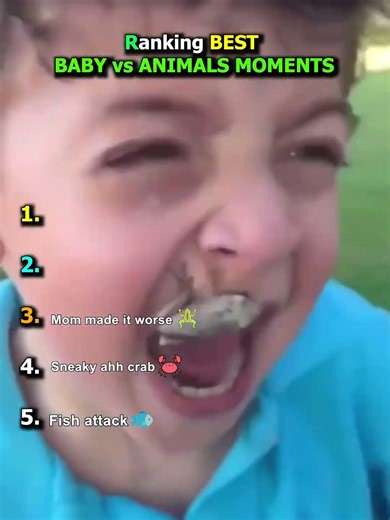 Ranking The Best ANIMALVS vs BABY Moments😂#shorts #funny