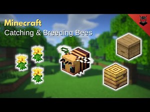 Minecraft: How to Catch & Breed Bees