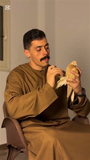 ماشاءاللہ تبارک 🦅♥️🦅 #bass #music #slowedandreverb #anime #slowed