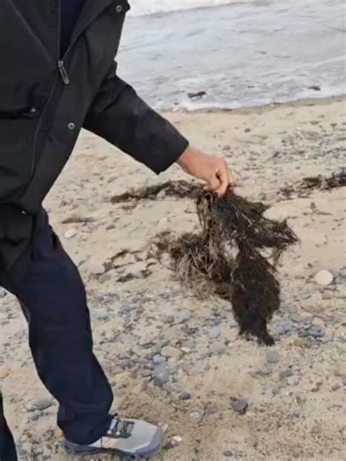 Chef Carla Hall on Reels