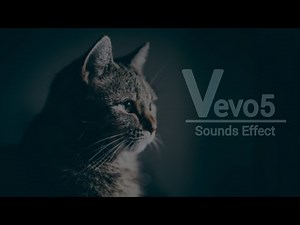 Disney's Cat Yowls Sound Effect