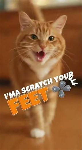 🎧 Scratch your feet 🎧