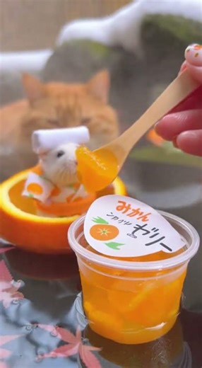 This hamster is living better than me in Japan 🥹♨️