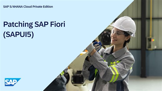 Patching SAP Fiori (SAPUI5)