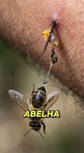 The brutal truth about bee stings 🐝 #facts #curiosities