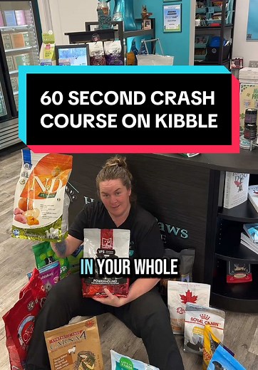 Essential Guide to Kibble: Understanding Pet Nutrition