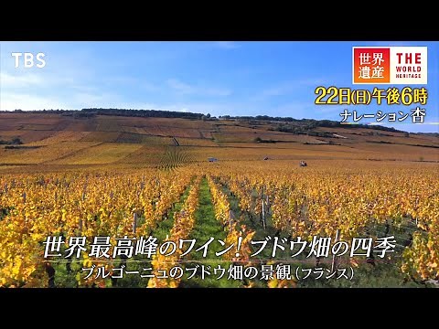 『世界遺産』10/22(日) ブルゴーニュのブドウ畑の景観 〜 世界最高峰のワイン!ブドウ畑の四季【TBS】
