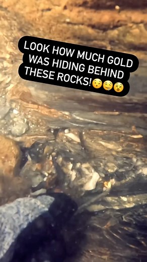 Rob Parsons on Reels