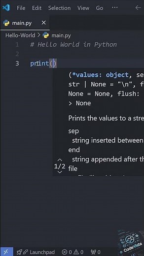 Your FIRST Program in Undera Minute!