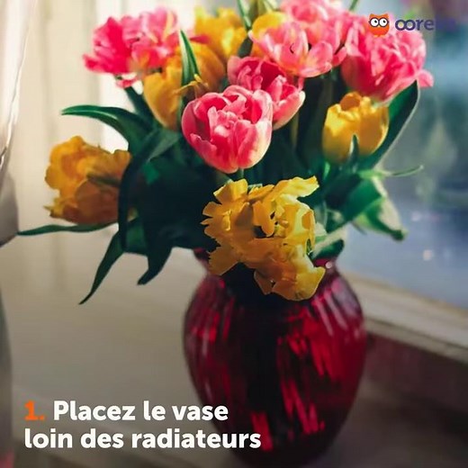 6 conseils pour conserver un bouquet