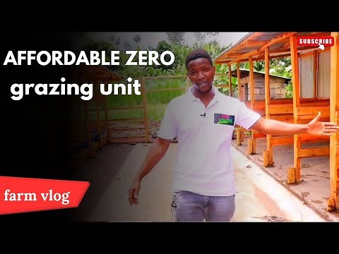 How I Built an Affordable Zero Grazing Unit in Kenya — Step-by-Step Guide