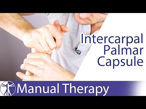 Intercarpal Assessment & Mobilization Wrist Extension | Radioscaphoid Joint