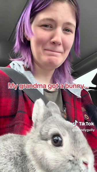 Meet Talulah: The Adorable Norwegian Dwarf Bunny