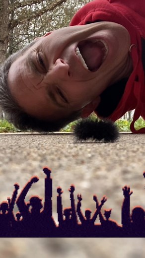 1.2K views · 2.1K reactions | Now what does the coloring of this wooly worm mean for our winter again? | Bob Herzog | Facebook