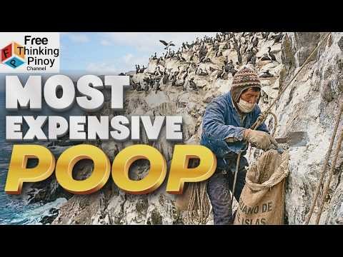 COMPILATION MOST EXPENSIVE ANIMAL PRODUCT | Leather, Silk, Fur & Musk