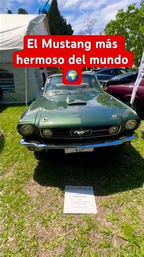 El Mustang más hermoso del mundo 🌍 #auto #automobile #fandelosautos #carspotting #automovilismo