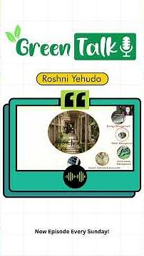 What is a Green School? Why It Matters 🌱