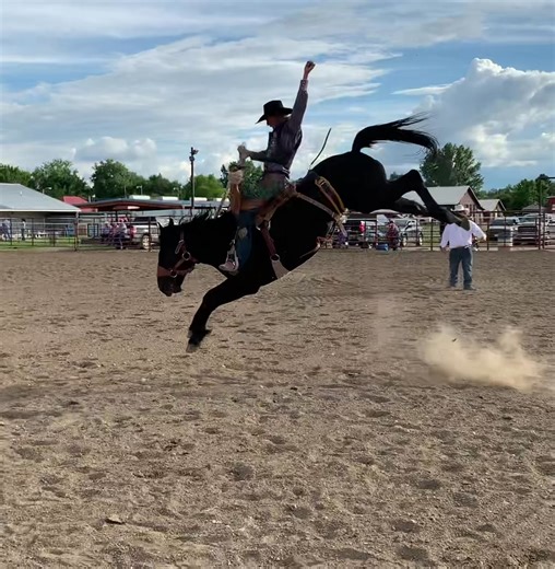 Bucking on the Yellowstone - 4/5 yr. old Champion 90 Pts! - #864 Calypso owned by CMBH contractor Frank Wyzykowski. | Canadian Made Bucking Horses