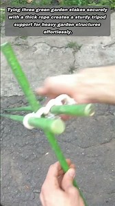 Step By Step Lashing Technique For Sturdy Garden Tripods