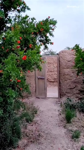 Rustic Outdoor Door with Lush Greenery