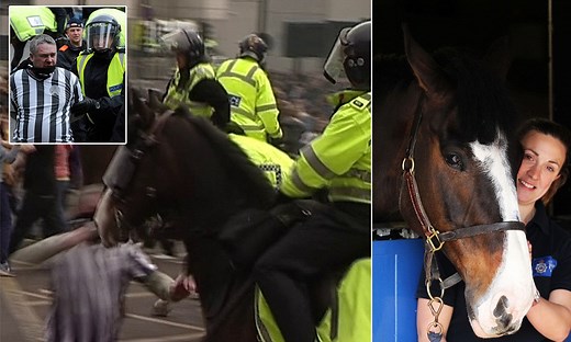 29 football fans arrested after hooligans run wild at Newcastle derby as police post happy snap of Bud the horse who was PUNCHED by a yob
