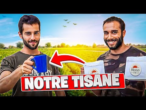 COMMENT FAIRE UNE INFUSION AU CBD ? BLATO CUISTOT #1