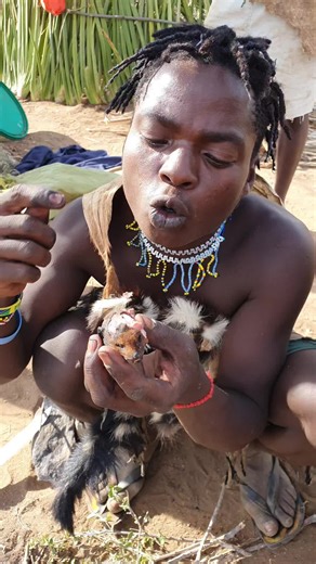 it's Our BUSHMEN AGAIN TODAY #indigenous #bushmen #hunters #tribes #hadzabetribe🇹🇿