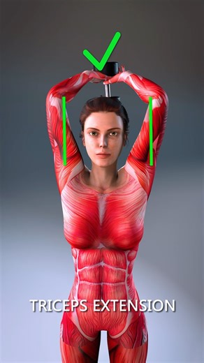 Fitonomy App Community🌱 on Instagram: "Are You Doing These Arm Exercises Right? 💪 🔥 Learn proper form for bigger gains — Download @fitonomyapp for full programs & form guides! Fix your form, grow faster! Here’s how to correctly do: ✅ Tricep Extension ✅ Bicep Curl ✅ Shoulder Press ✅ Tricep Kickback Common mistakes ruin results and increase injury risk. Watch, learn, and feel the difference 🔥 #armworkout #tricepworkout #bicepcurls #shoulderpress #tricepkickback #fixyourform #fitonomyapp #homew