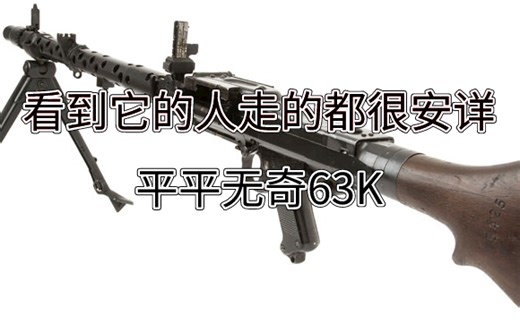 【博物馆】二战老古董MG34农场63K3D