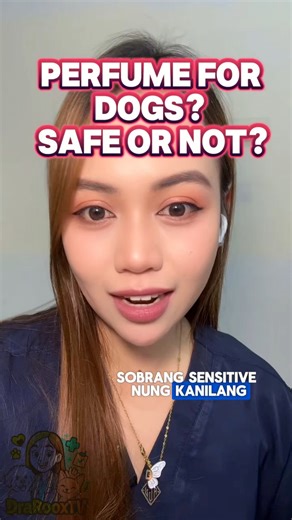 31K views · 845 reactions | Safe na Perfume sa Dogs? Try this. #perfumes #drarooxtv #fypシ #friday #fblifestyle #scentsy | Dra. Rooxtv | Facebook