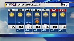 Pet of the Week: Chase, the Yorkie/Terrier mix