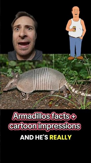 Can armadillos roll into a ball? Ft. Bill Dauterive impression