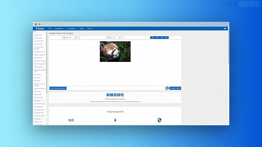 Comment rogner une image en cercle avec Crop Circle Image Online ?