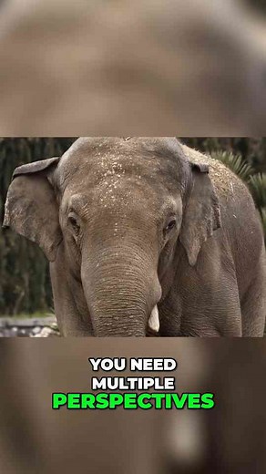 Climate Crisis: One Perspective on a Massive Problem