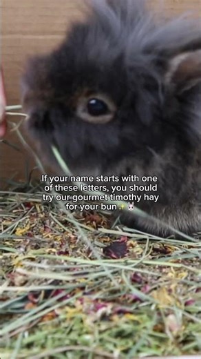 Maybe it’s time to try gourmet Timothy hay for your rabbits #rabbits ￼
